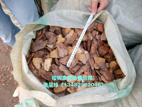 �c(di��n)���鿴���^�ر����w������ͷŴ�DƬ