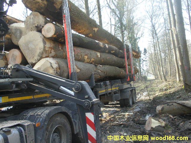 ��Ϟ?z��i)���Ԕ�?x��)��B