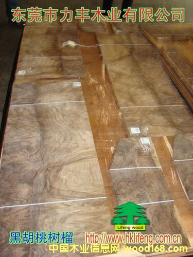 �ں��Ҙ����Ԕ��(x��)��B