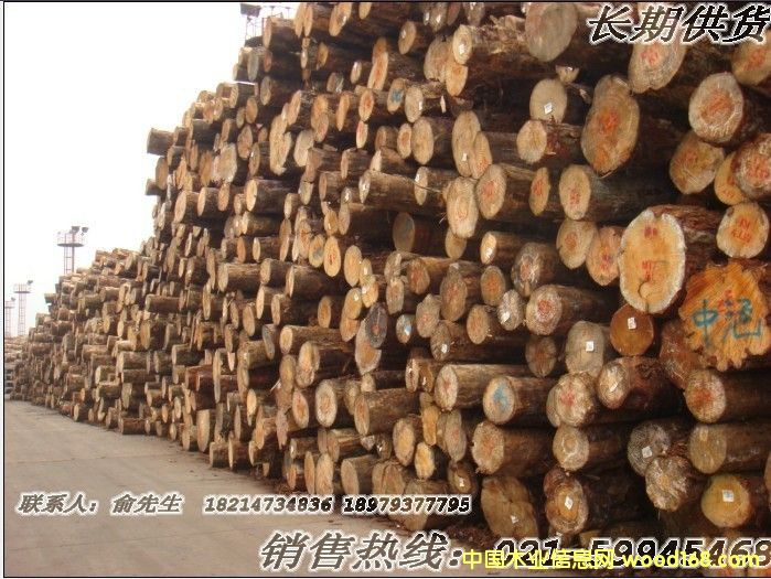 �����m��ԭľ��Ԕ��(x��)��B