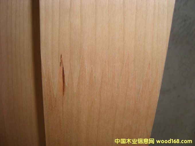 ��Ƥ����Ƭ