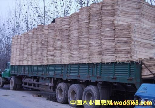 ��ľ�ΰ��Ԕ����B