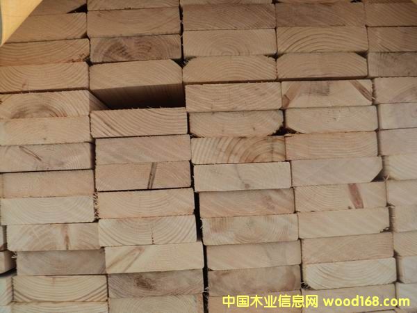 �������ɵ�Ԕ����B