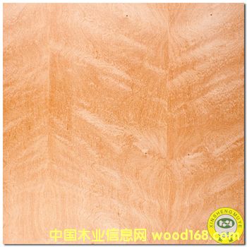 ���V��ʢ����Ȼɳ����Ӱ�yľƤ����-�N���