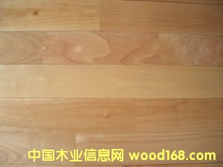 ��(sh��)ľ�ذ壨����ľ����Ԕ��(x��)��B