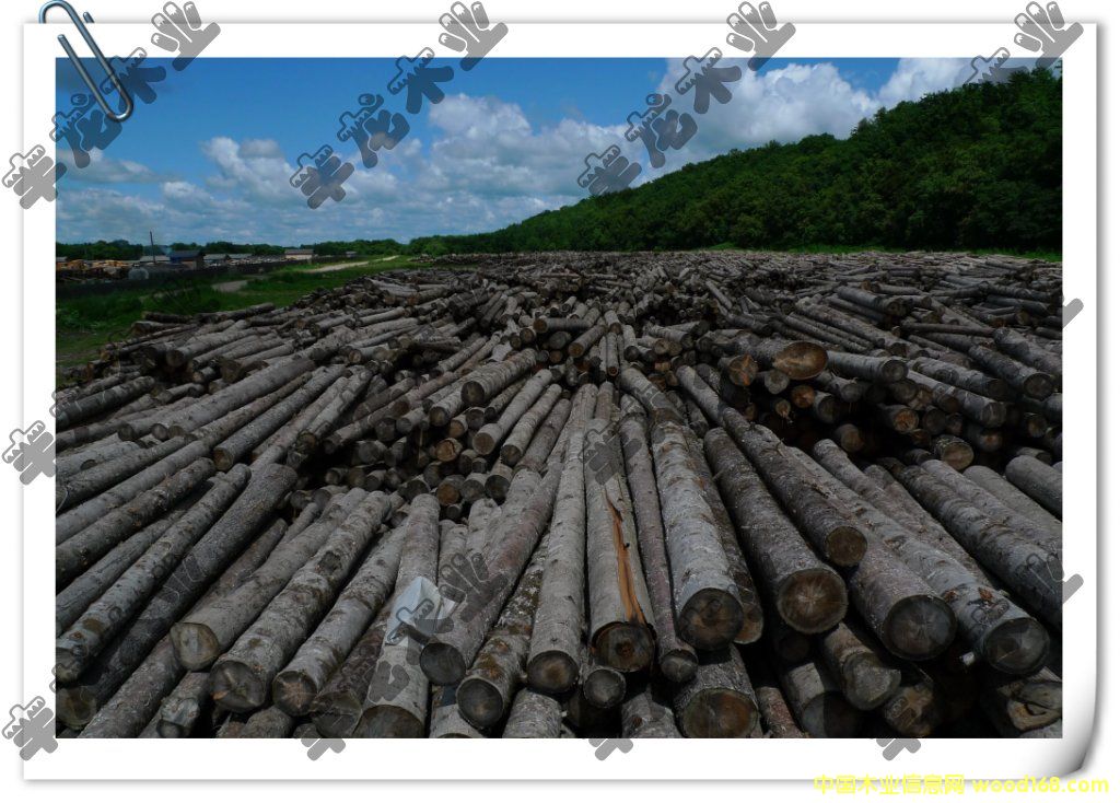 ���_˹ԭľ��Ԕ����B