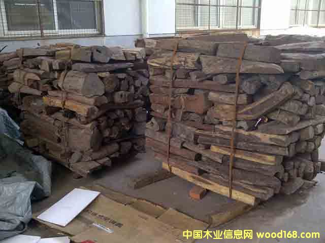 �t��֦(С�ϣ�