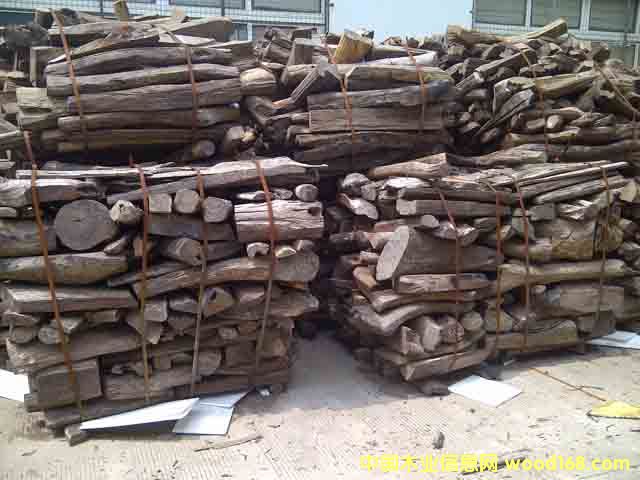 �t��֦(С�ϣ�