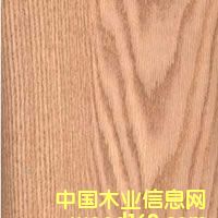 ���y��ľ��Ԕ��(x��)��B