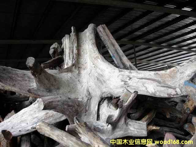 �ϓ�t��֦���^,���