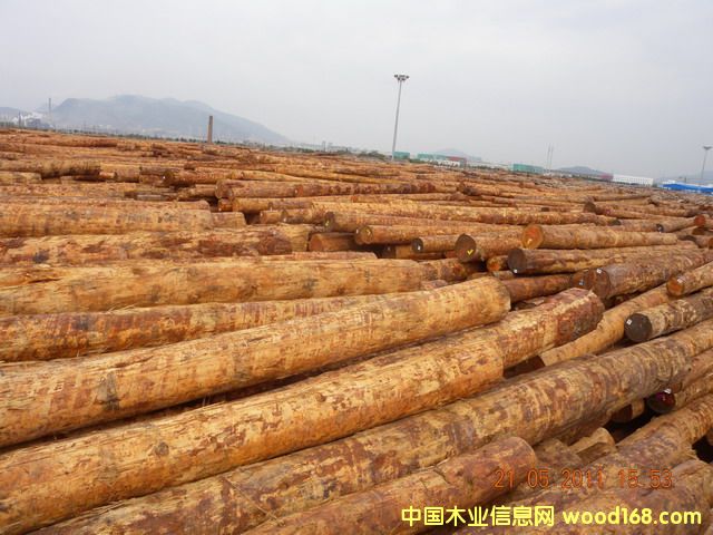 �����ɵ�Ԕ����B