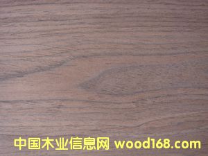 �Ƽ�ľƤ �ں���ľ