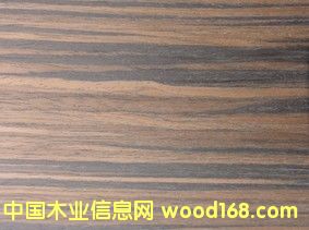 �Ƽ�ľƤ ��̴