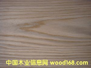 �Ƽ�ľƤ ����