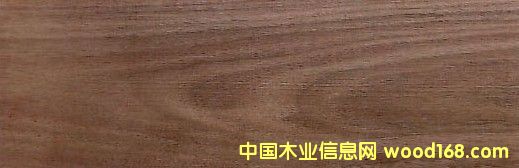 �c���鿴�ں��� Black Walnut�Ŵ�DƬ