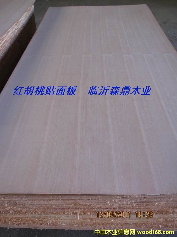 �t�����N���