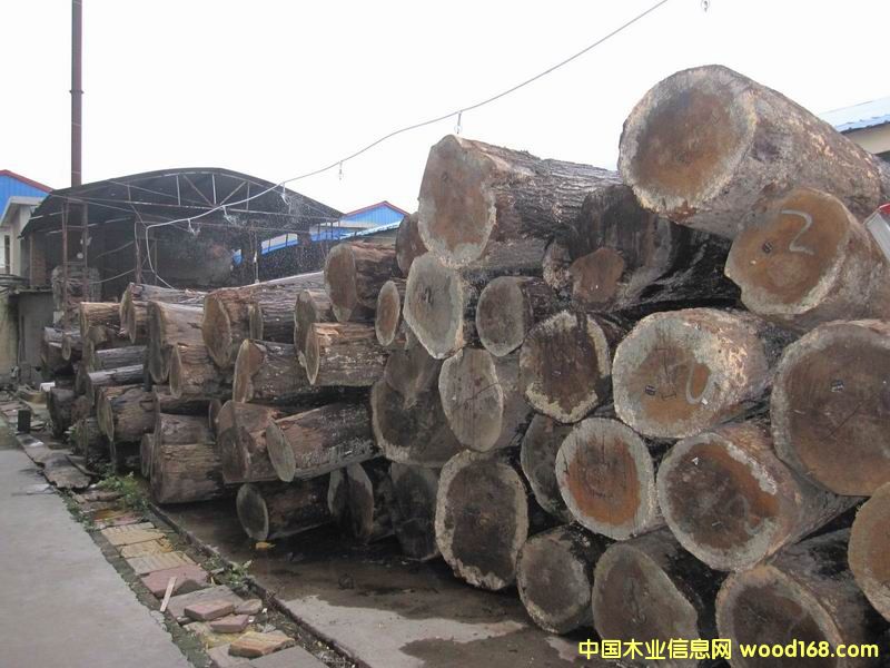 �����t��ԭľ