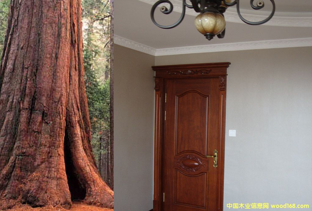 ����ľԭľ�T(m��n)