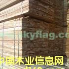 ��ľ����Ԕ��(x��)��B