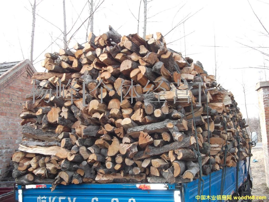 �����Ԕ��(x��)��B