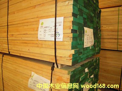 輻射松的詳細介紹