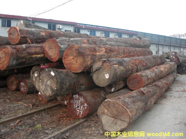 �@ʯ�t̴���F���ӣ�