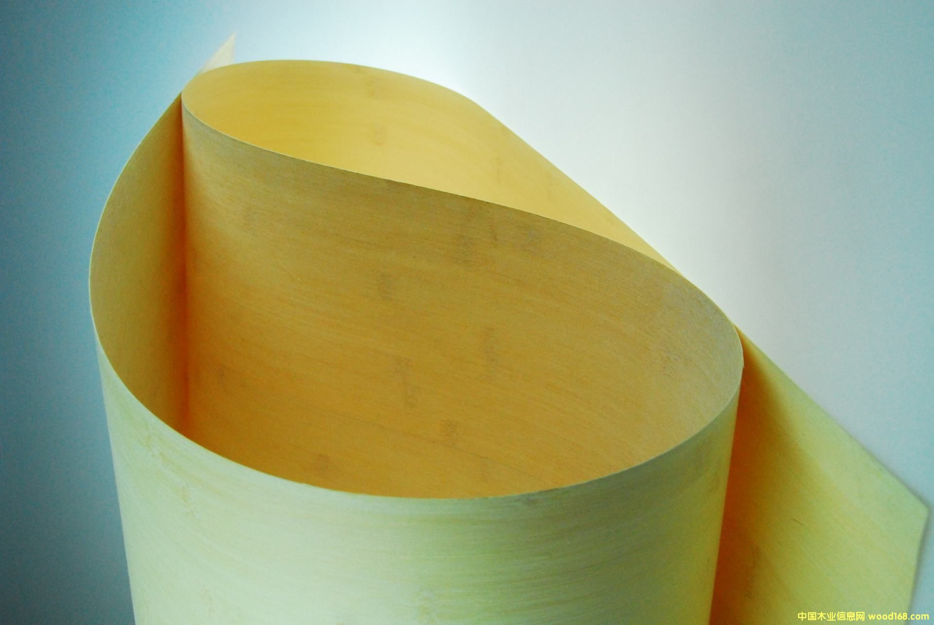 竹皮的詳細(xì)介紹