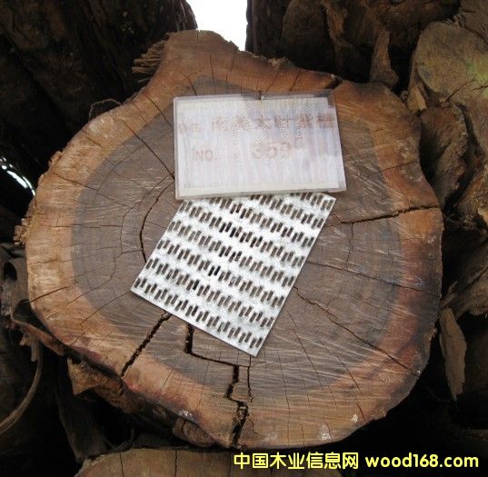 �c(di��n)���鿴���Fľ���Ŵ�DƬ