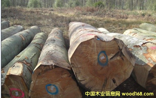 [��] ��Ϟ?z��i)���? title=