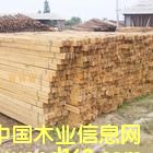 ��ľ��ĵ�Ԕ����B