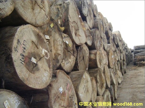 �t�����Ԕ����B