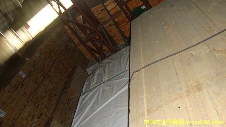 �M��ݗ���� ���1.9cmë�� ��Ԕ����B