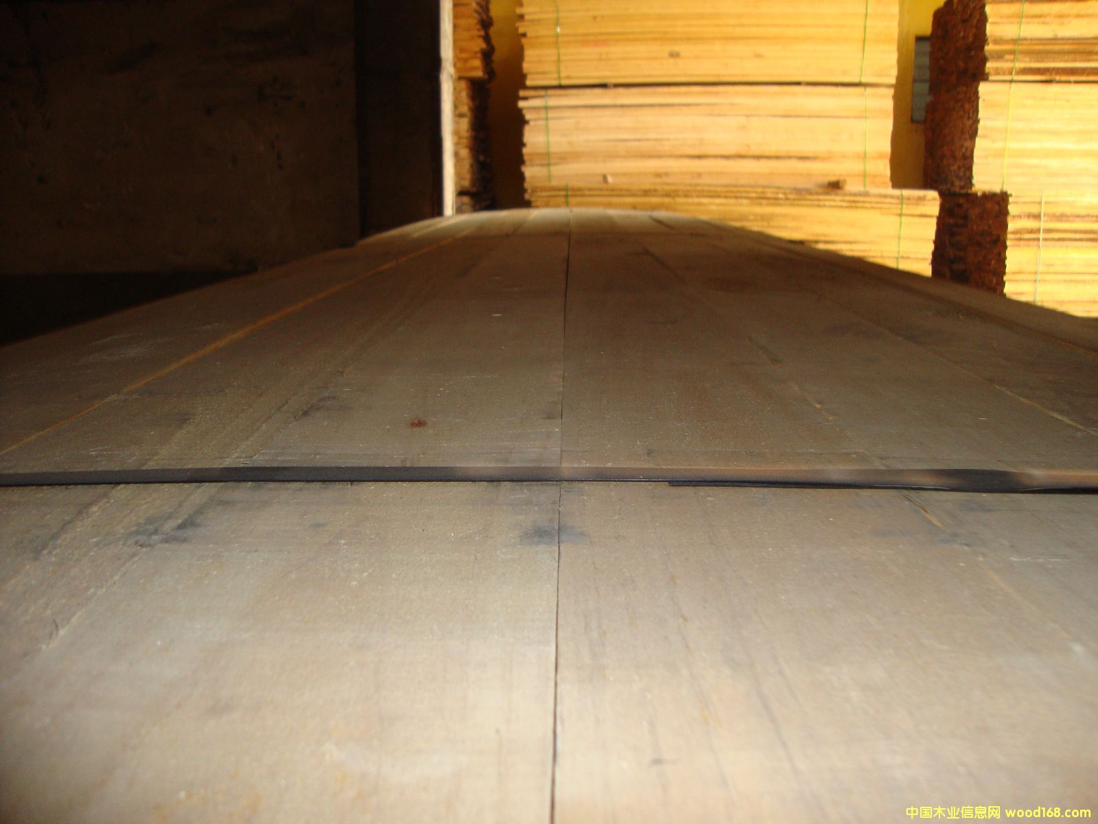 �M��ݗ���� ���1.6cmë�� ��Ԕ����B