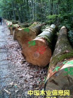 �W�ް���ľ��Ԕ��(x��)��B