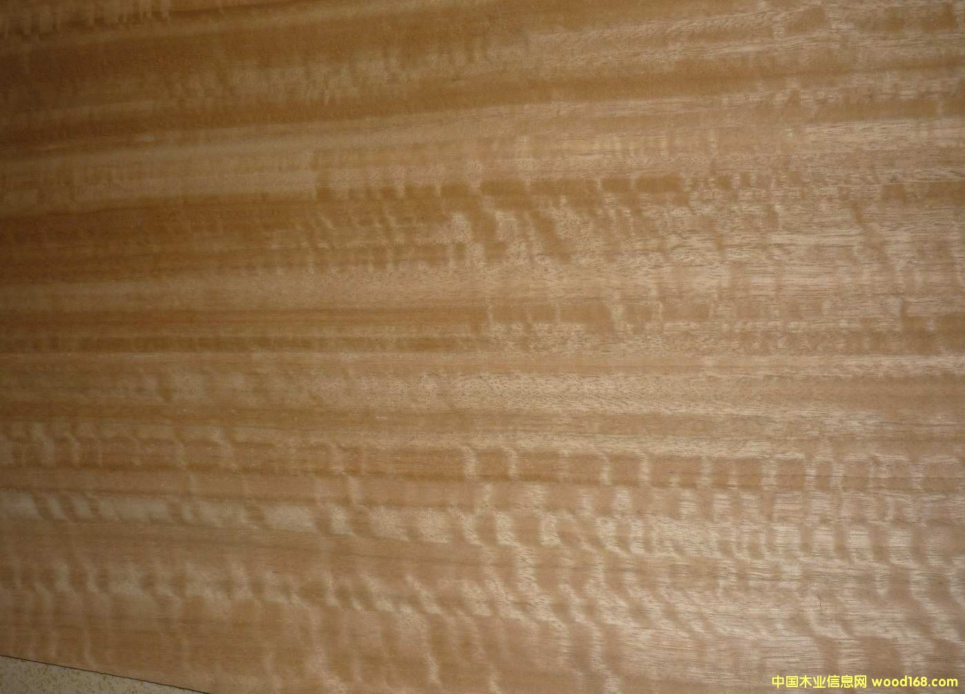 �ȼ���Ӱ��Ԕ����B