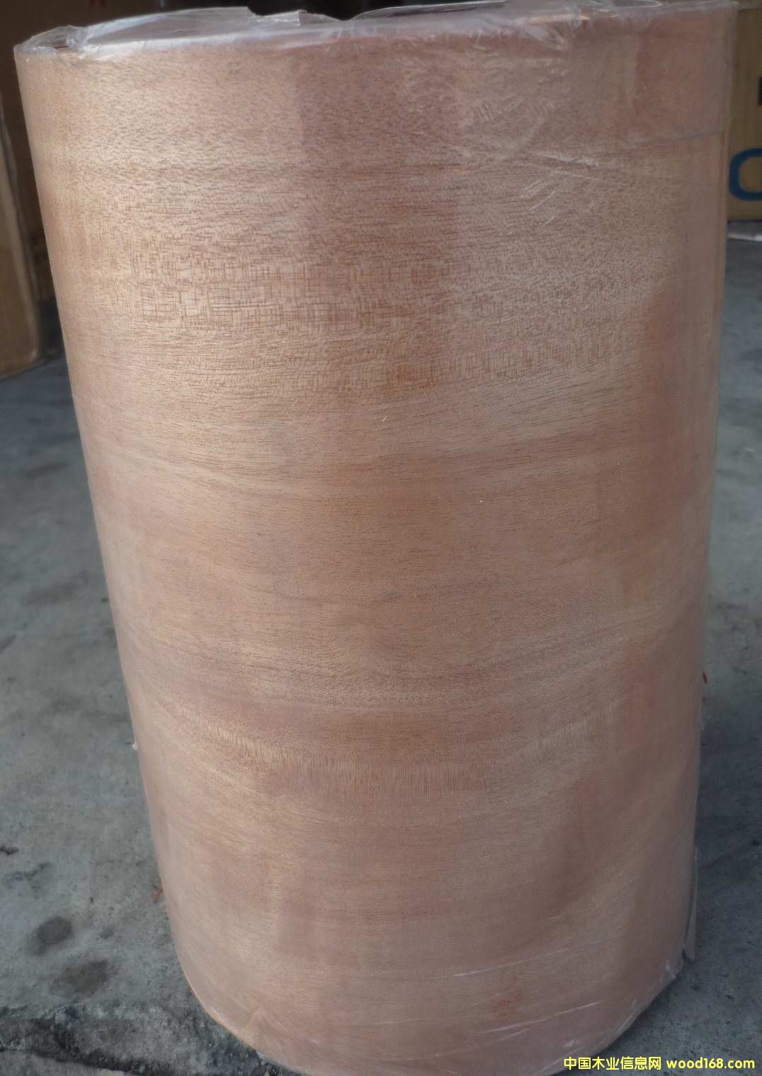 �t����ţƤ����Ԕ����B