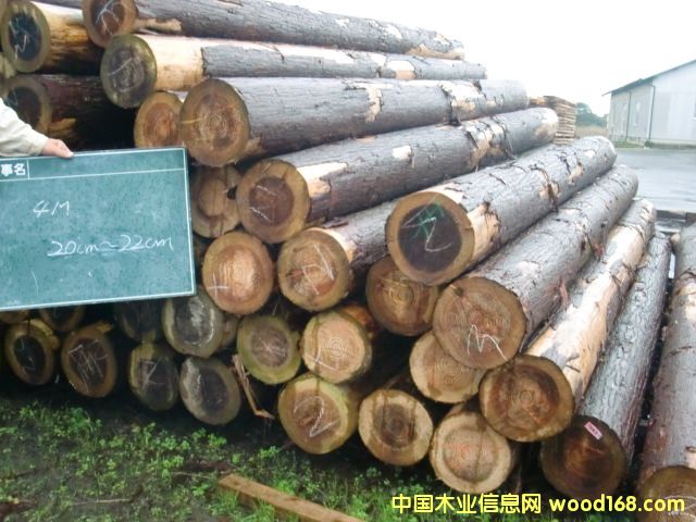 ɼľ��Ԕ��(x��)��B