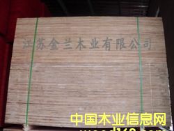 ����ģ���Ԕ��(x��)��B