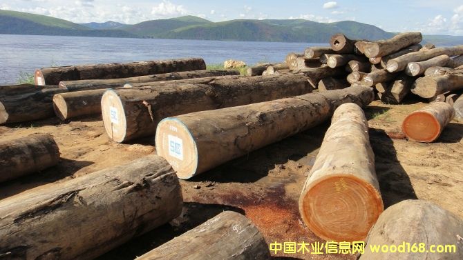 ����ľ��Ԕ��(x��)��B