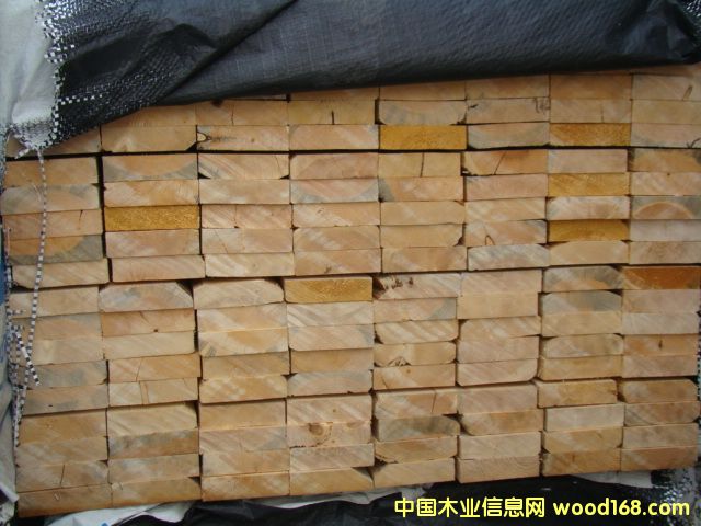 ���ô���ľ��Ԕ��(x��)��B