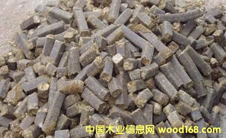 ��Ƥ���Kȼ�ϵ�Ԕ����B