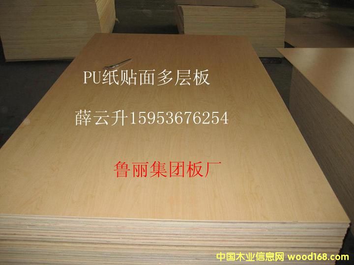 PU���N����Ӱ��Ԕ��(x��)��B