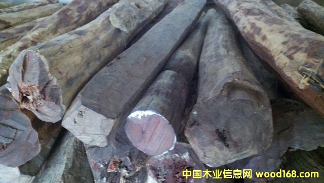 ��̴11-11-03��Ԕ����B