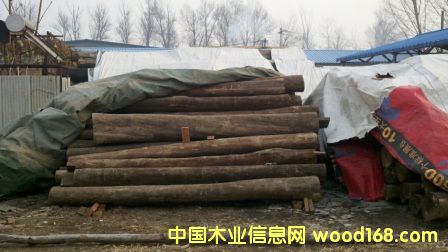 ��z����ϵ�Ԕ����B