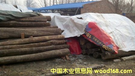 ��z骵�Ԕ����B