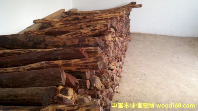 ��̴��Ԕ����B