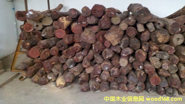 ��̴��Ԕ����B