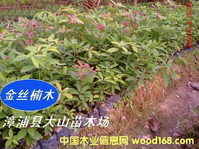 [��] ���ľN�磨�}����E���С�~���������ٻ�����t骣�