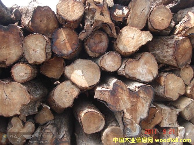 ������ԭľ��Ԕ����B