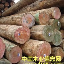 ���l(f��)��(y��u)�|(zh��)�M(j��n)�ڟo(w��)��(ji��)��ݗ����ԭľ